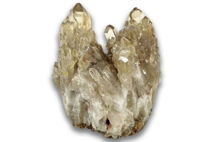 Smoky Citrine Crystal Cluster - Luena, DR Congo #324395